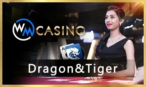 Professional Live Dealers